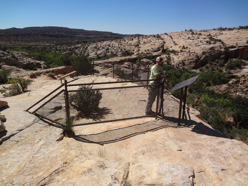Josh Ewing, Executive Director of Friends of Cedar Mesa, looks out at Native American ruins from one of the few established visitor areas in the Bears Ears region. His organization recently helped install benches and informational signage along the trail from the parking area to the lookout.